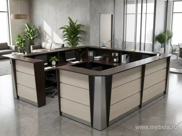 ресепшн Рапид Дуб