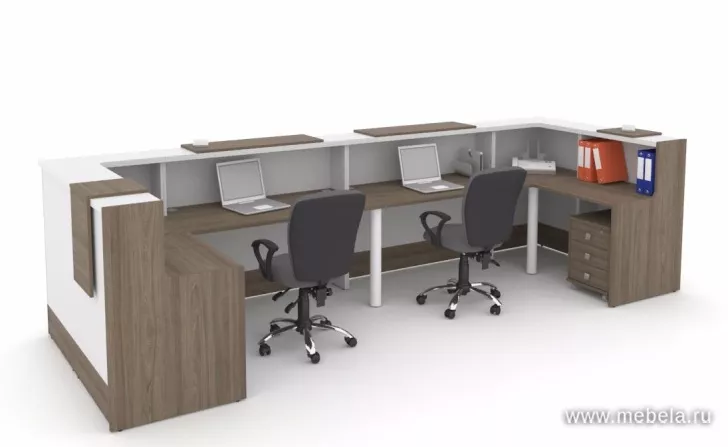 стойка ресепшн Style Elm