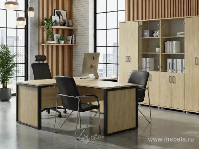 кабинет Аргентум-М Баттл