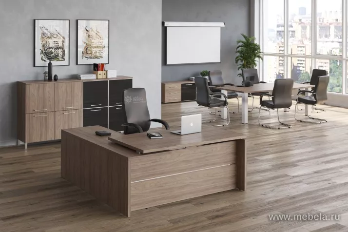 кабинет Yalta Elm