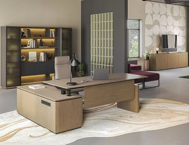 фото Кабинет руководителя Ион №2