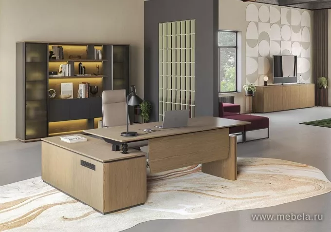 Кабинет руководителя Ион