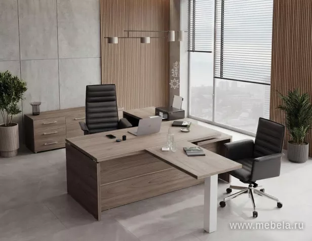 кабинет Yalta Elm