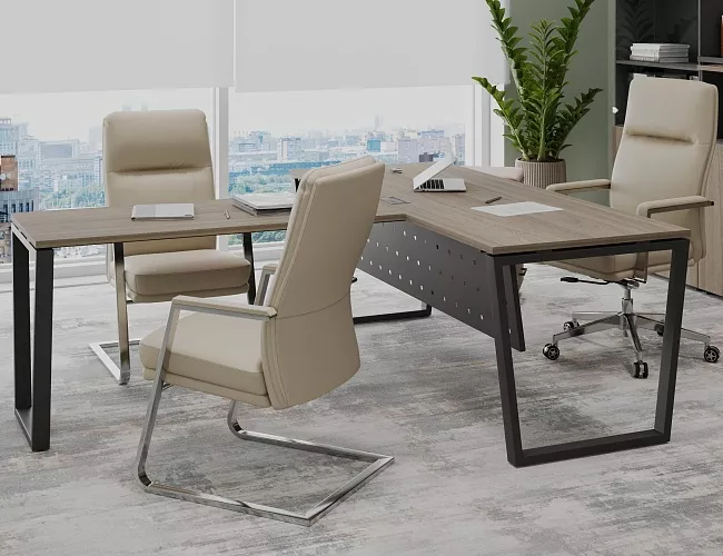 фото кабинет Project Elm T №3