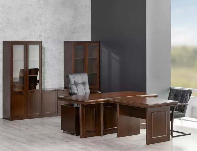 фото кабинет Princeton №3