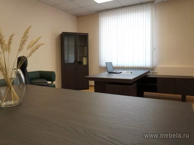 кабинет директора Сидней