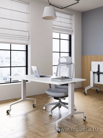 столы складные Setup