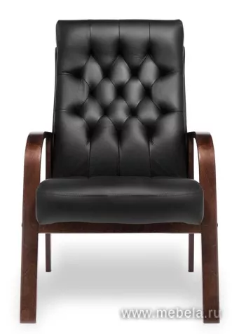 кресло Darwin D