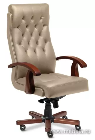 кресло Darwin A