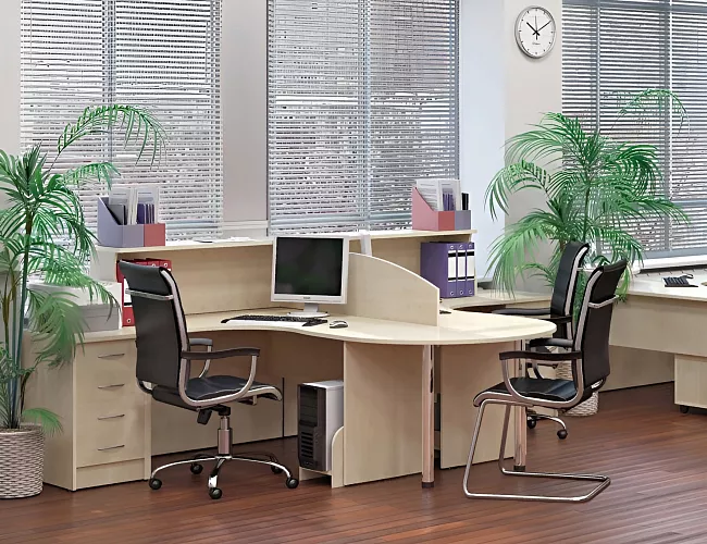 фото мебель Riva Клён №2