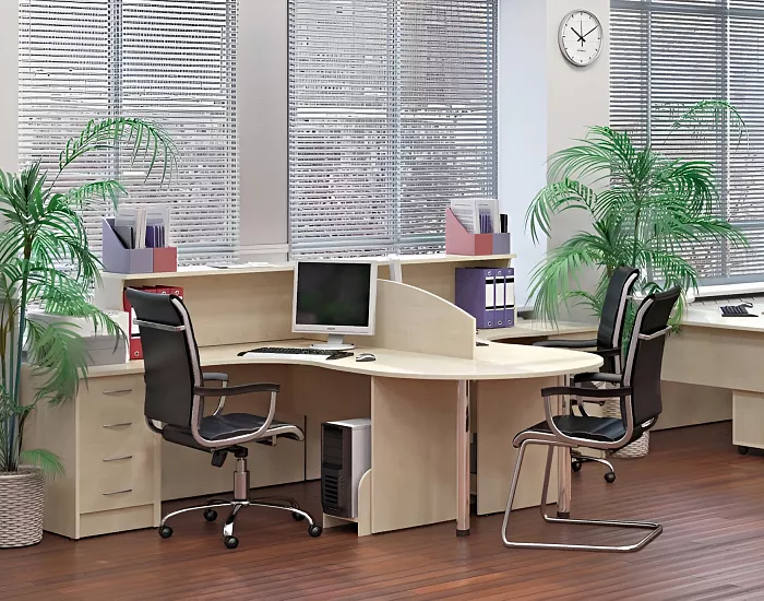 фото мебель Рива Клён					 №2					