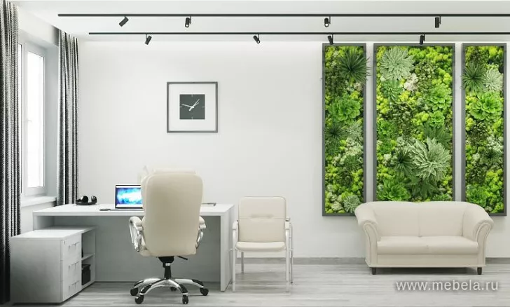 кабинет Yalta White