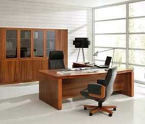 кабинет руководителя Еур