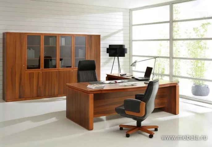 кабинет руководителя Eur