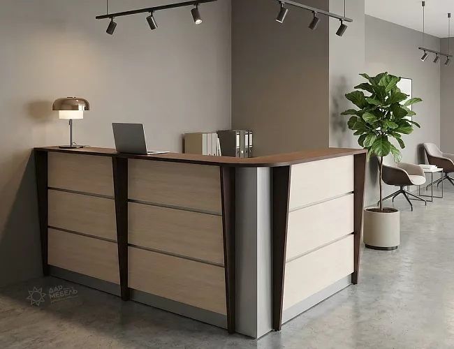 фото ресепшн Rapid №5