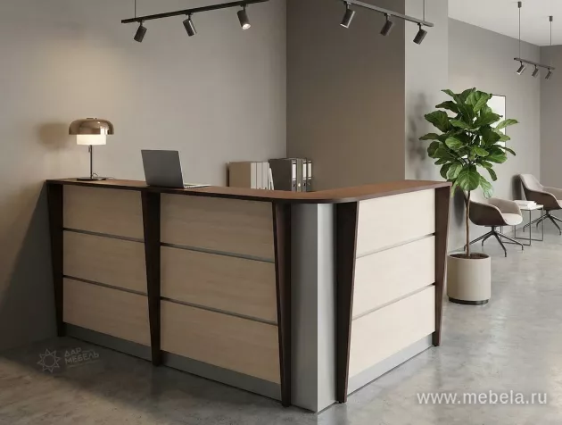 ресепшн Rapid