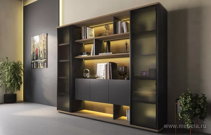 Кабинет руководителя Ion