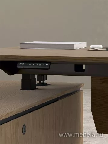 Кабинет руководителя Ion