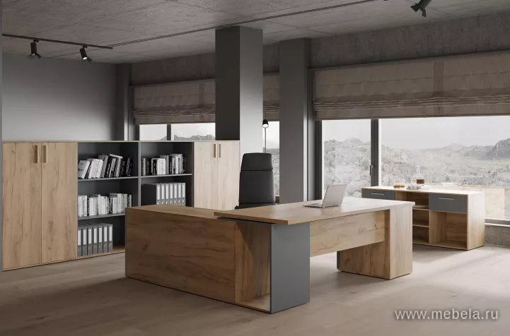 кабинет Зион New