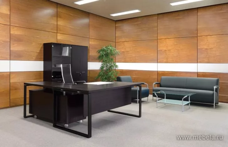 кабинет Rotonda