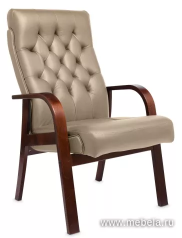 кресло Darwin D