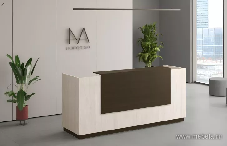 стойка ресепшн A4