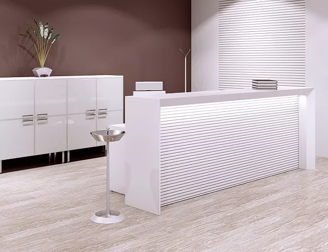 фото ресепшн Экстра Лонг №4