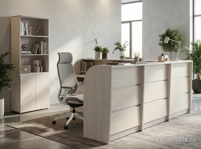 ресепшн Rapid Light