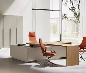 кабинет Aurus