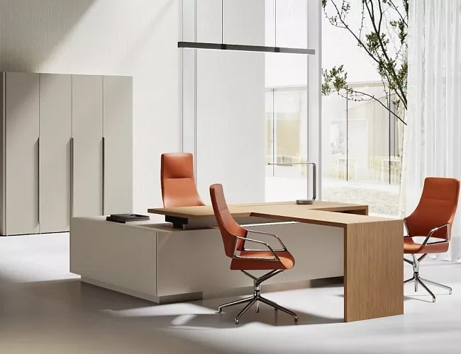 фото кабинет Aurus