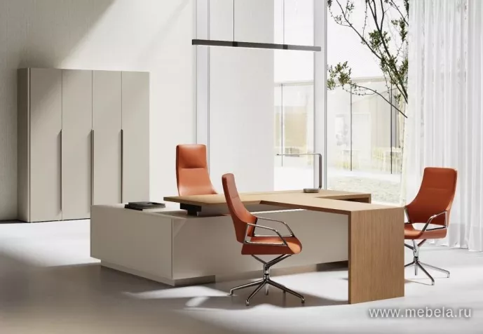 кабинет Aurus