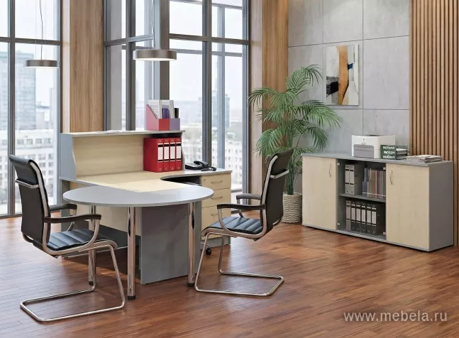 Офисная мебель Рива +