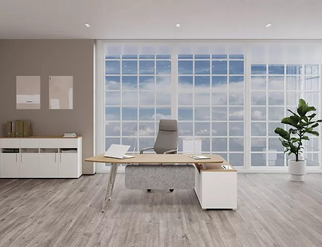 фото Кабинет руководителя Орис №2