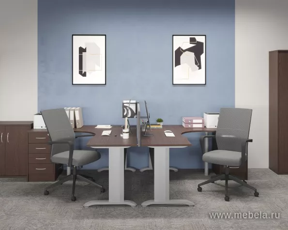 мебель Riva Wenge