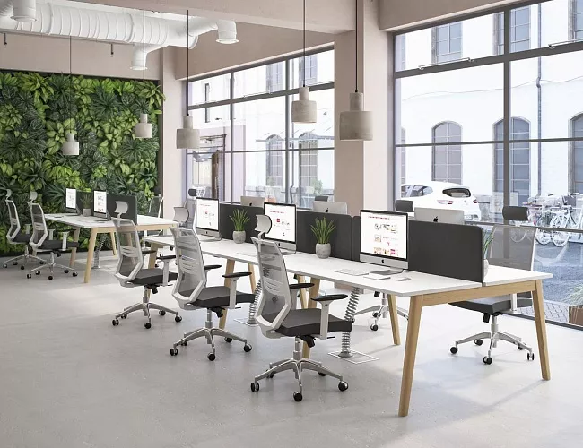 фото мебель Альберо