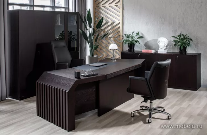 кабинет директора Марэ