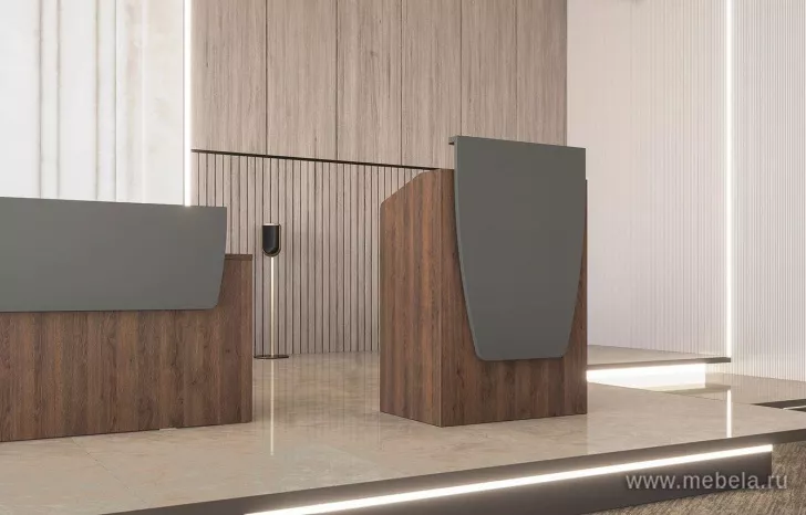 стойка ресепшн Speech