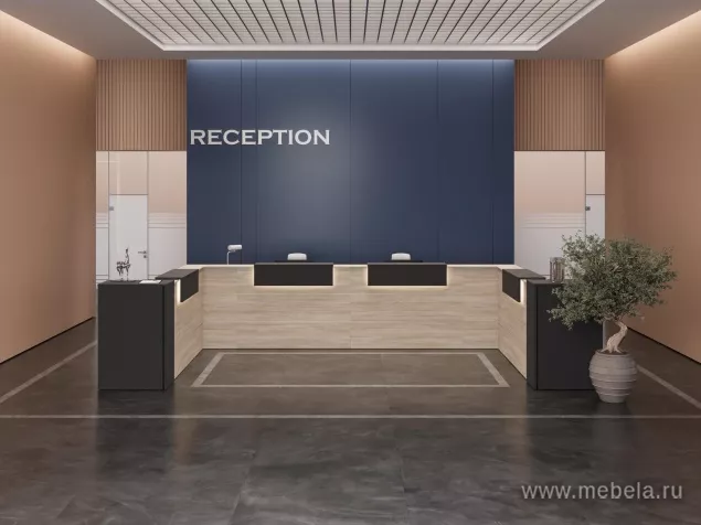 стойка ресепшн Onix
