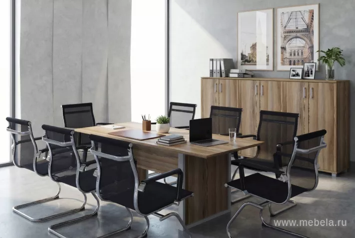 столы Аргентум