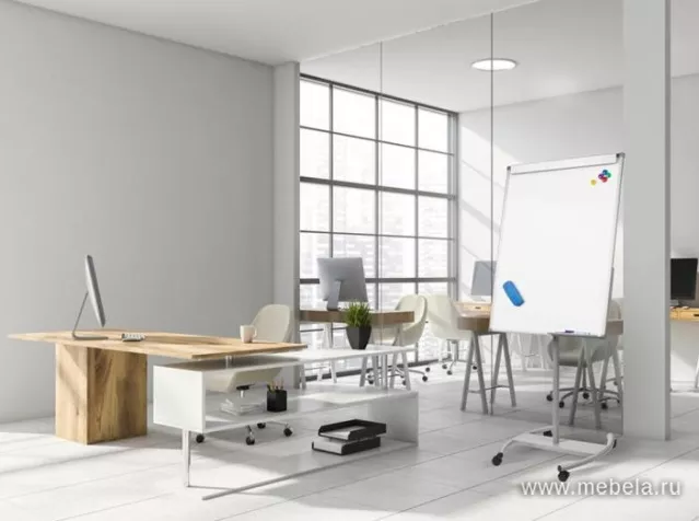 Флипчарт DR-170248