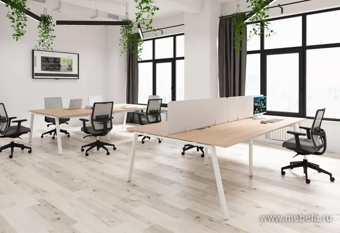 Офисная мебель Арена