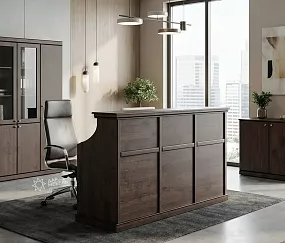 ресепшн Bern Dub