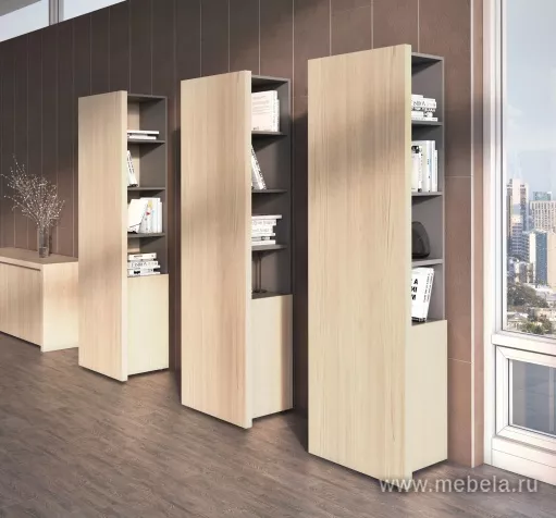 кабинет руководителя Era