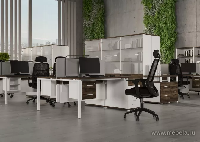 мебель Concept