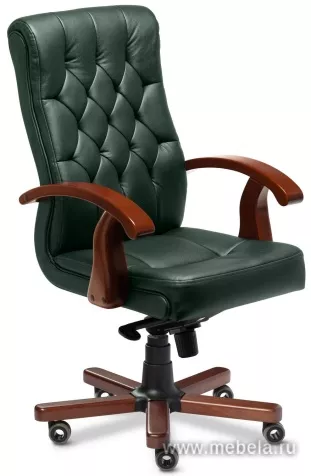 кресло Darwin B