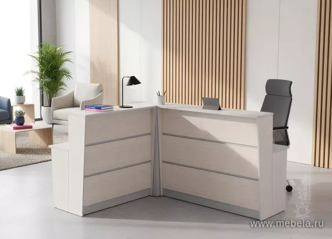 ресепшн Rapid Light