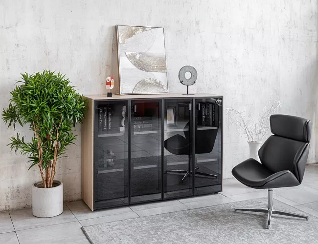 фото кабинет Ренц Лайт №4