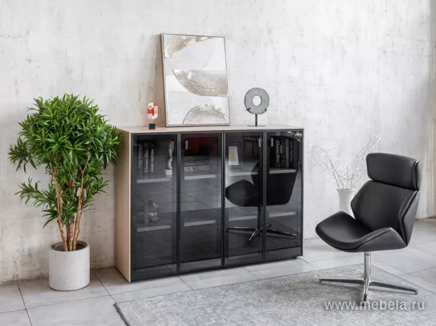 кабинет Renz Light