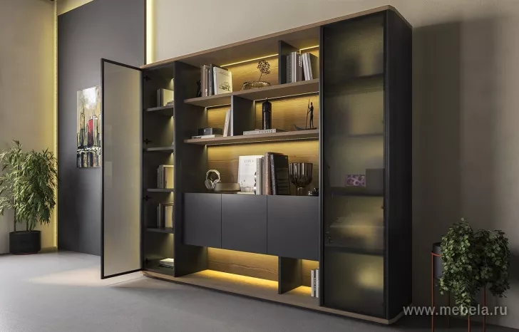 Кабинет руководителя Ион