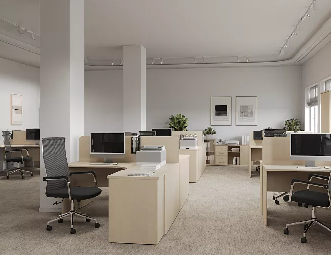 фото мебель Riva Клён №5